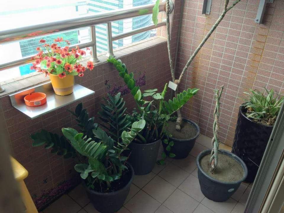 Jia Jia House Apartman Kaohsziung Kültér fotó